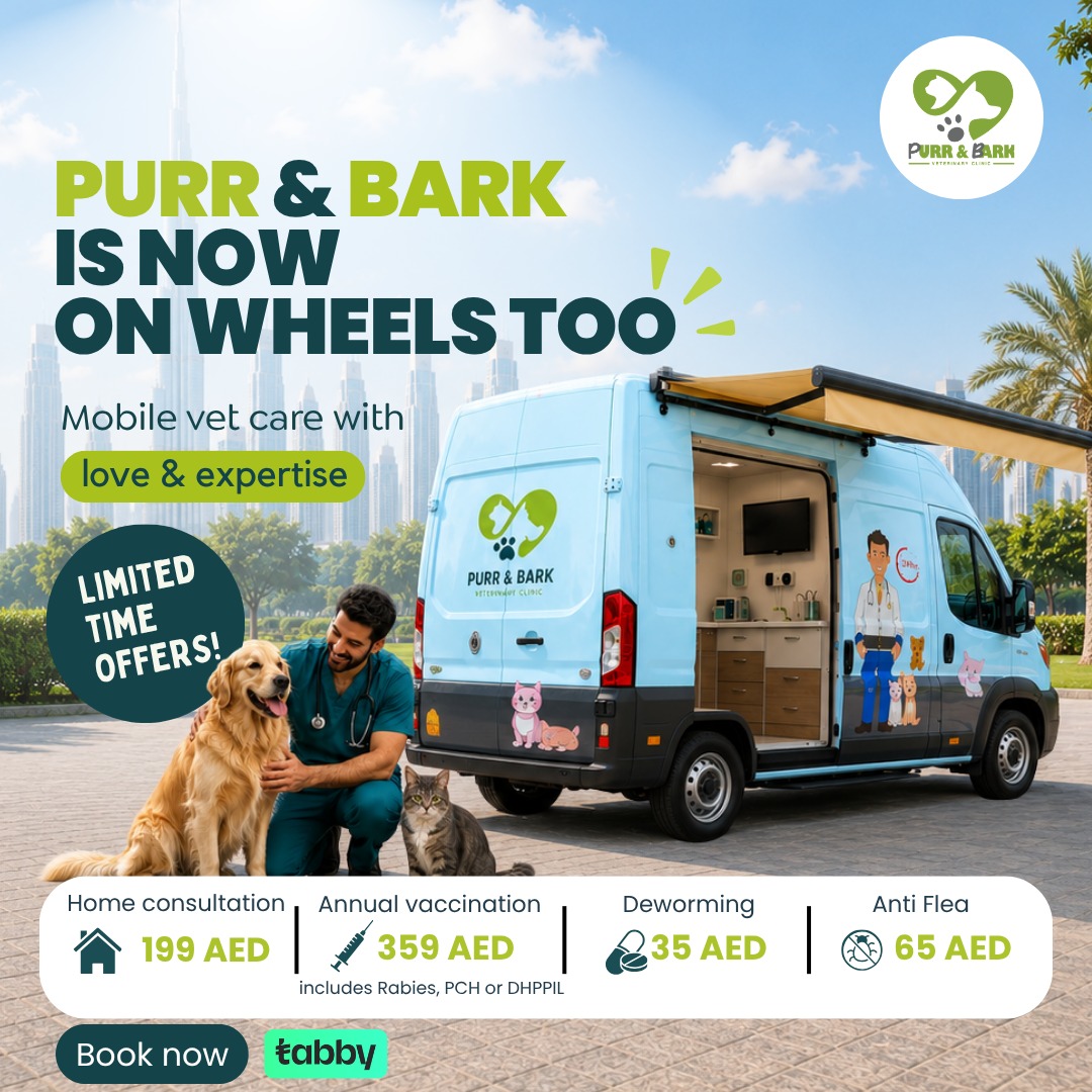 Purr & Bark current offer